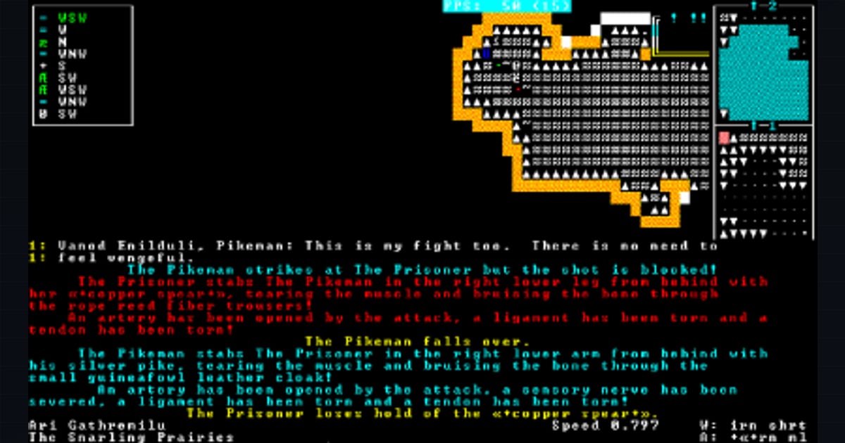 Dwarf Fortress