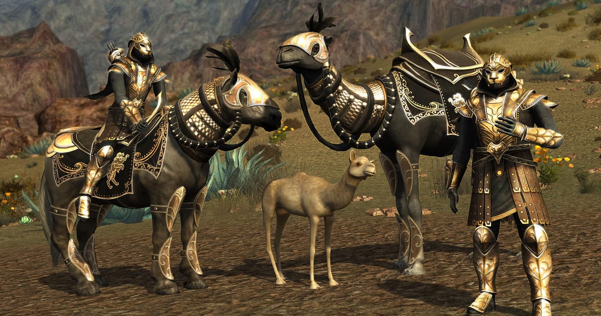 Lord of the Rings Online Update 49.5 Dungeon Content